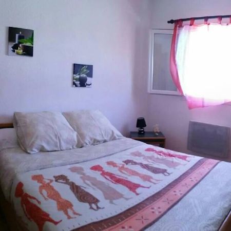 Apartmán Beau T2 Climatise Avec Terrasse 100M Plage Saint-Cyprien  Exteriér fotografie