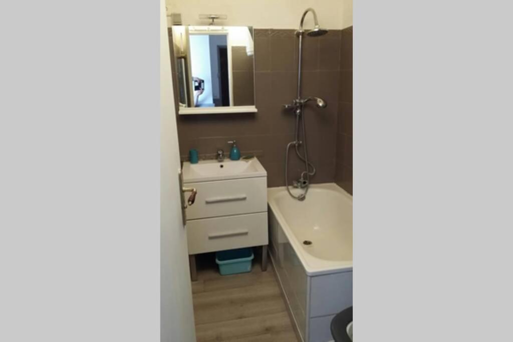 Apartmán Beau T2 Climatise Avec Terrasse 100M Plage Saint-Cyprien  Exteriér fotografie